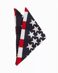 American Flag Bandana