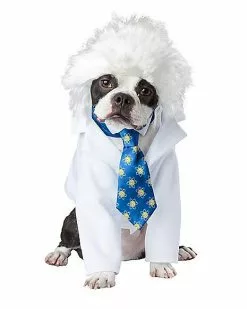 Einstein Pet Costume